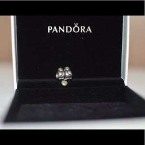 “Love Birds” Pandora Charm
